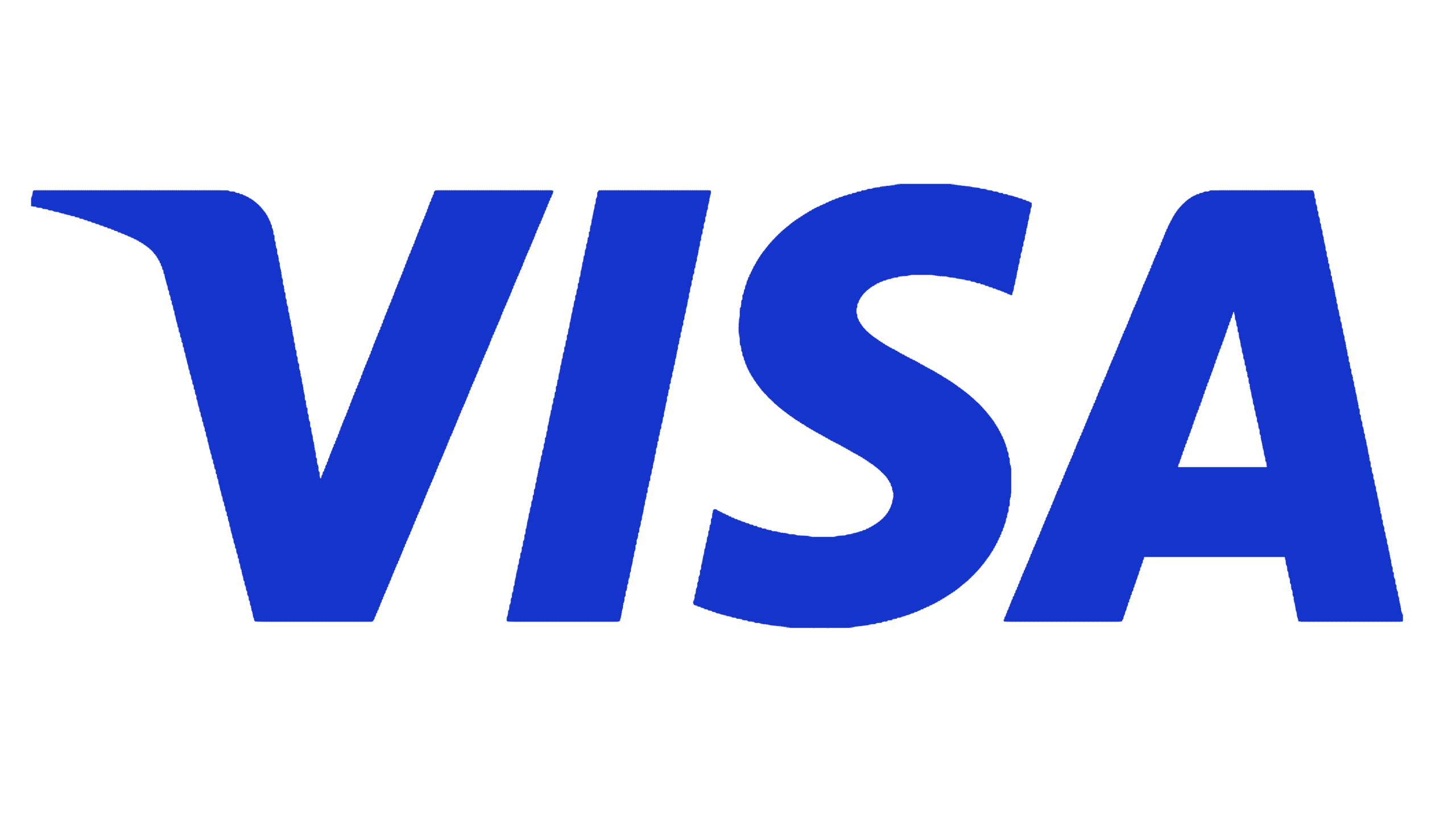 Visa Government Solutions